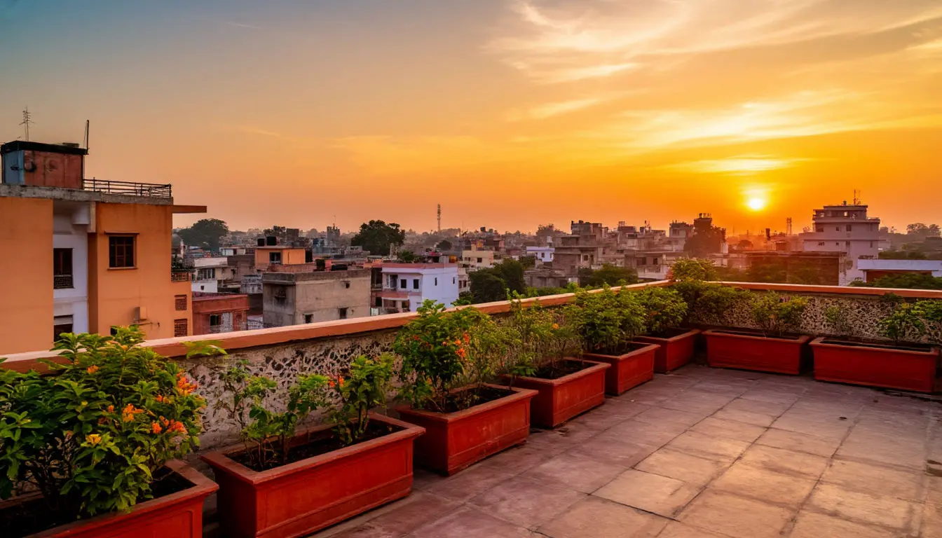 Rooftop View